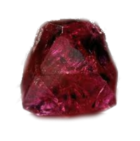 Rubi